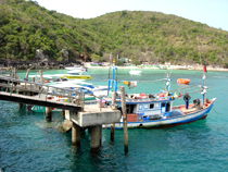 パタヤー沖の小さな島 ラーン島 イメージ3