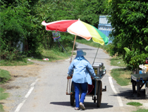 タイの夏、日本の夏 イメージ3