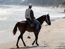 フア・ヒンで乗馬 イメージ3