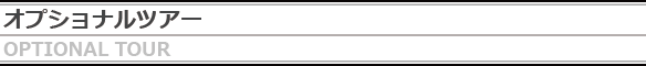 ローマ／オプショナルツアー