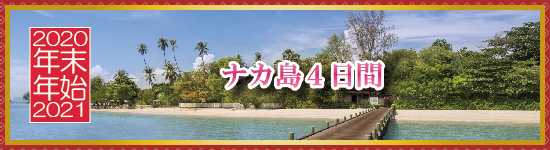 ナカ島４日間 / 年末年始パッケージツアー＜2020-2021＞