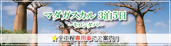 マダガスカル ３泊５日≪モロンダバ≫