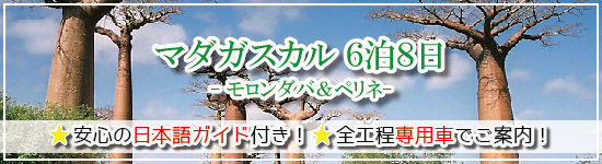 マダガスカル ６泊８日≪モロンダバ＆ペリネ≫